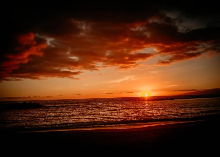 Paradise Tenerife 公寓 *